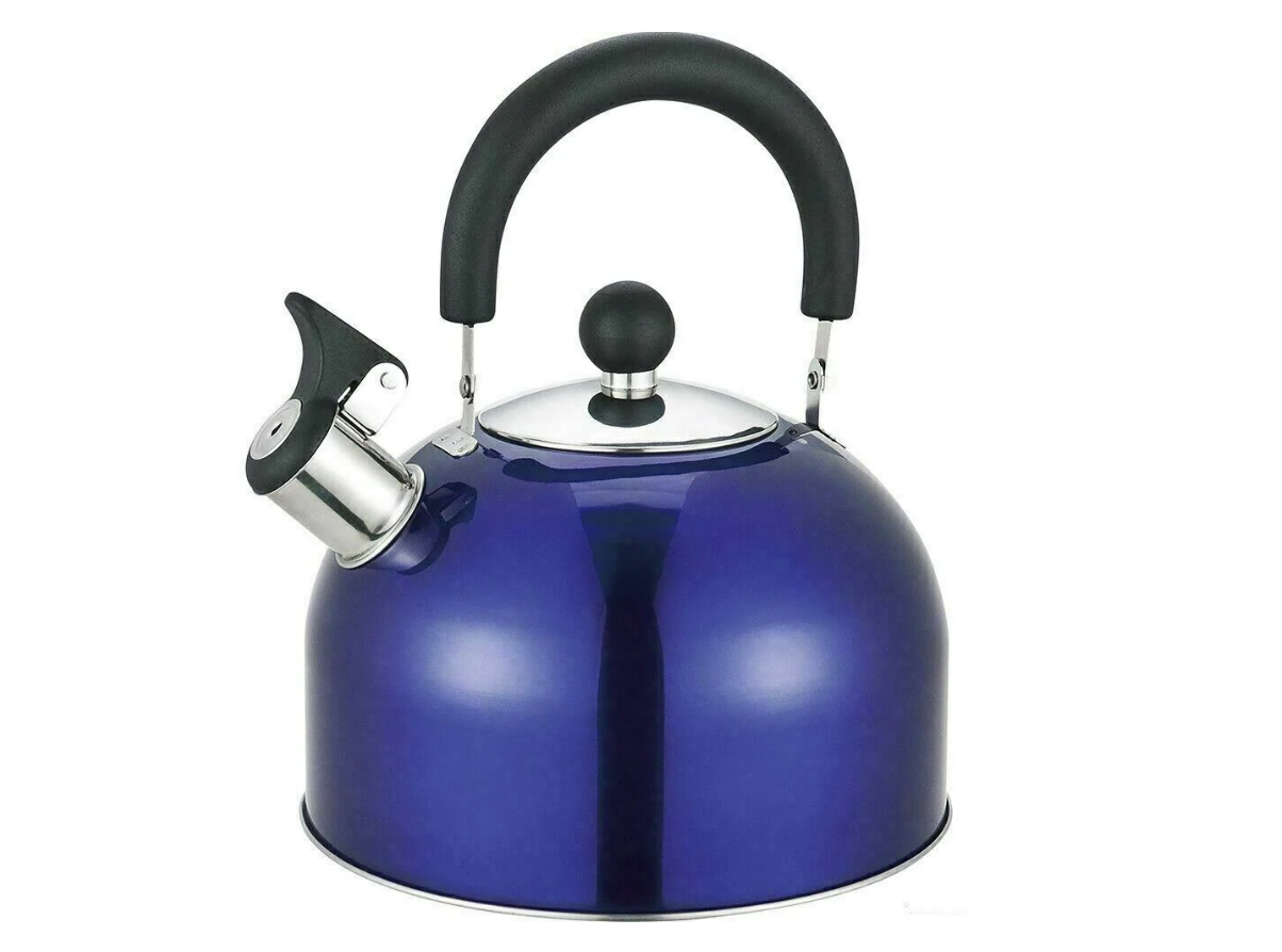 Whistling Stainless Steel Kettle with Folding Handle Blue