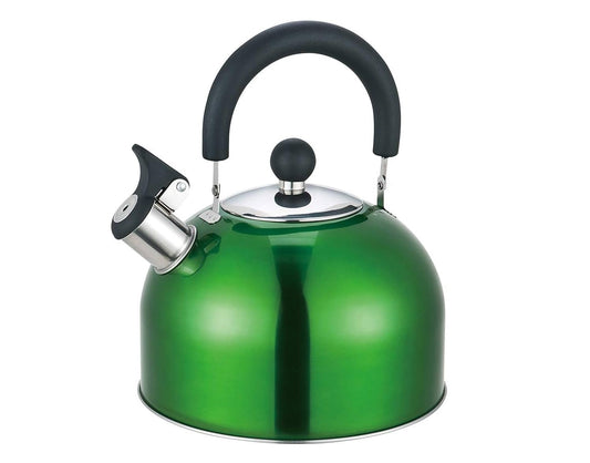 Whistling Stainless Steel Kettle with Folding Handle Green